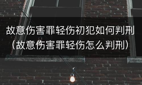 故意伤害罪轻伤初犯如何判刑（故意伤害罪轻伤怎么判刑）
