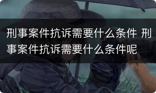 刑事案件抗诉需要什么条件 刑事案件抗诉需要什么条件呢