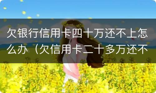 欠银行信用卡四十万还不上怎么办（欠信用卡二十多万还不上怎么办）