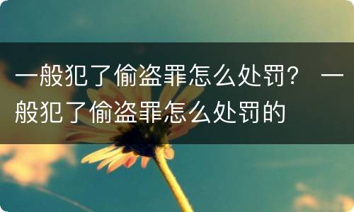 一般犯了偷盗罪怎么处罚？ 一般犯了偷盗罪怎么处罚的
