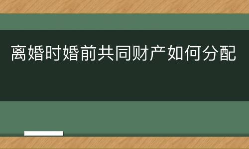 离婚时婚前共同财产如何分配