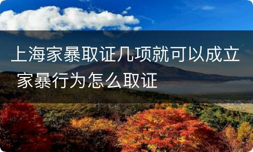 上海家暴取证几项就可以成立 家暴行为怎么取证