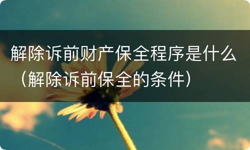 解除诉前财产保全程序是什么（解除诉前保全的条件）