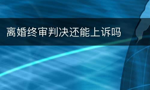 离婚终审判决还能上诉吗