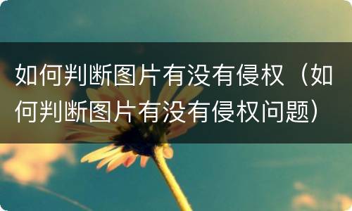 如何判断图片有没有侵权（如何判断图片有没有侵权问题）