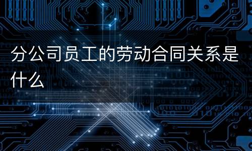 分公司员工的劳动合同关系是什么