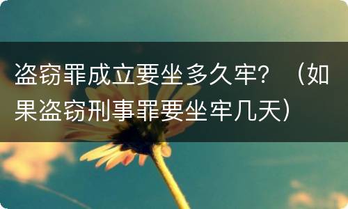盗窃罪成立要坐多久牢？（如果盗窃刑事罪要坐牢几天）