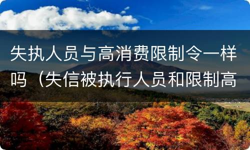 失执人员与高消费限制令一样吗（失信被执行人员和限制高消费人员区别）