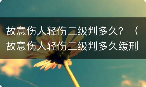 故意伤人轻伤二级判多久？（故意伤人轻伤二级判多久缓刑）
