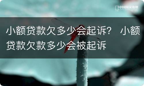 小额贷款欠多少会起诉？ 小额贷款欠款多少会被起诉