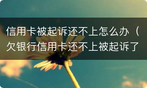 信用卡被起诉还不上怎么办（欠银行信用卡还不上被起诉了怎么办）