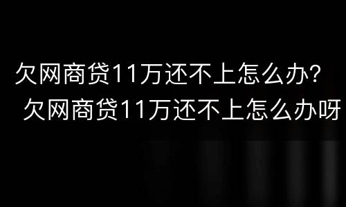 欠网商贷11万还不上怎么办？ 欠网商贷11万还不上怎么办呀