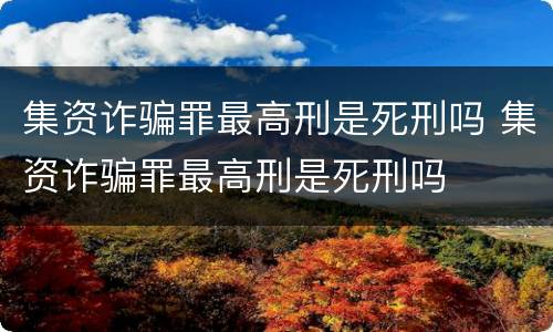 集资诈骗罪最高刑是死刑吗 集资诈骗罪最高刑是死刑吗