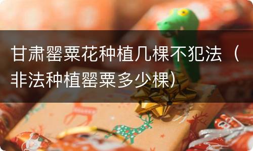 甘肃罂粟花种植几棵不犯法（非法种植罂粟多少棵）