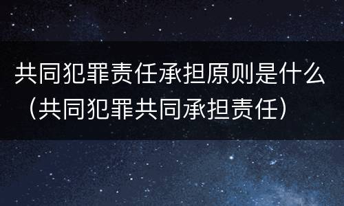 共同犯罪责任承担原则是什么（共同犯罪共同承担责任）