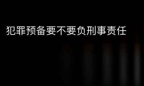 犯罪预备要不要负刑事责任