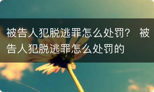 被告人犯脱逃罪怎么处罚？ 被告人犯脱逃罪怎么处罚的