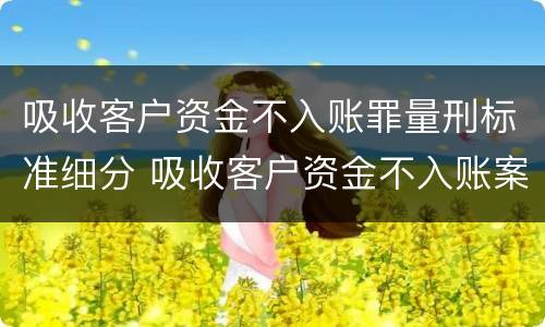 吸收客户资金不入账罪量刑标准细分 吸收客户资金不入账案