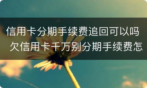 信用卡分期手续费追回可以吗 欠信用卡千万别分期手续费怎么收