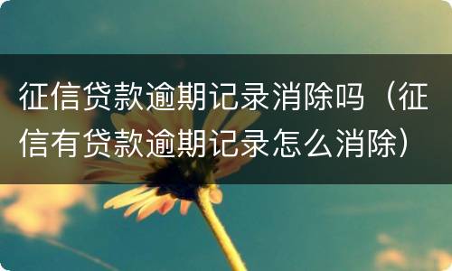 征信贷款逾期记录消除吗（征信有贷款逾期记录怎么消除）