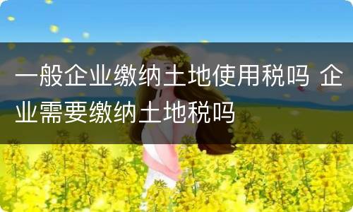 一般企业缴纳土地使用税吗 企业需要缴纳土地税吗
