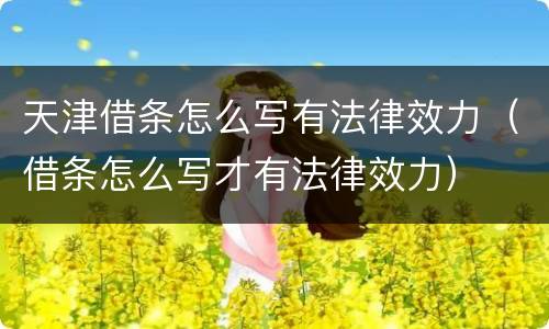 天津借条怎么写有法律效力（借条怎么写才有法律效力）