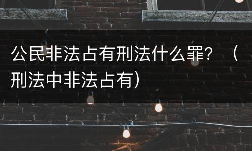 公民非法占有刑法什么罪？（刑法中非法占有）