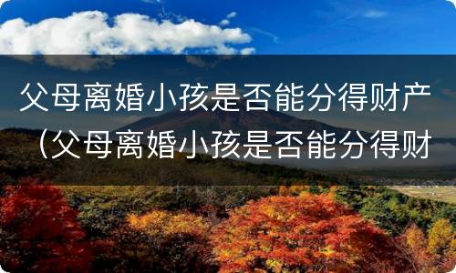 父母离婚小孩是否能分得财产（父母离婚小孩是否能分得财产和遗产）