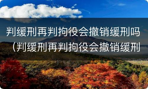 判缓刑再判拘役会撤销缓刑吗（判缓刑再判拘役会撤销缓刑吗知乎）