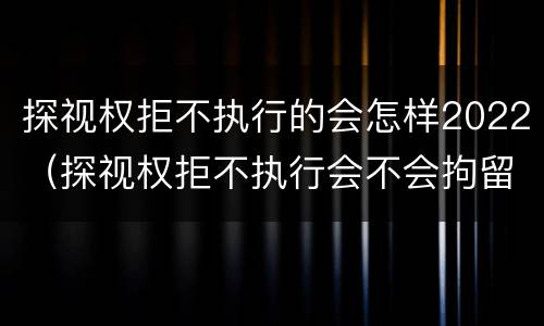 探视权拒不执行的会怎样2022（探视权拒不执行会不会拘留）