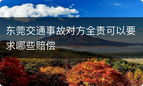 东莞交通事故对方全责可以要求哪些赔偿