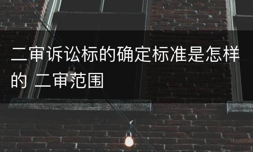 二审诉讼标的确定标准是怎样的 二审范围