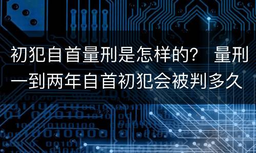 初犯自首量刑是怎样的？ 量刑一到两年自首初犯会被判多久