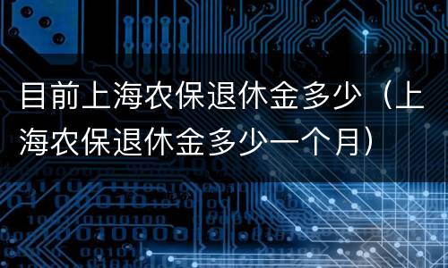 目前上海农保退休金多少（上海农保退休金多少一个月）