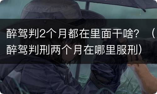 醉驾判2个月都在里面干啥？（醉驾判刑两个月在哪里服刑）