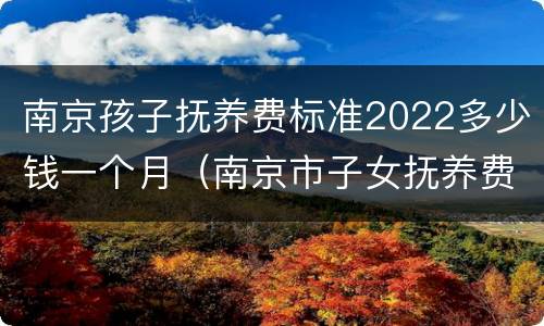 南京孩子抚养费标准2022多少钱一个月（南京市子女抚养费标准）