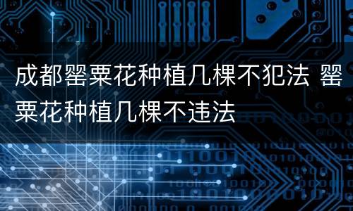 成都罂粟花种植几棵不犯法 罂粟花种植几棵不违法