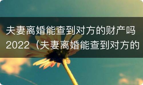 夫妻离婚能查到对方的财产吗2022（夫妻离婚能查到对方的财产吗）