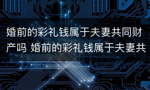 婚前的彩礼钱属于夫妻共同财产吗 婚前的彩礼钱属于夫妻共同财产吗女方
