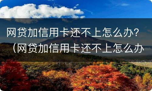 网贷加信用卡还不上怎么办？（网贷加信用卡还不上怎么办呀）