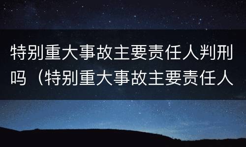 特别重大事故主要责任人判刑吗（特别重大事故主要责任人判刑吗）