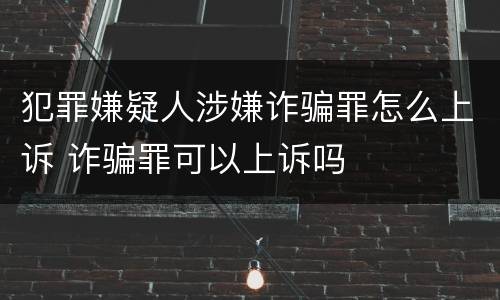 犯罪嫌疑人涉嫌诈骗罪怎么上诉 诈骗罪可以上诉吗