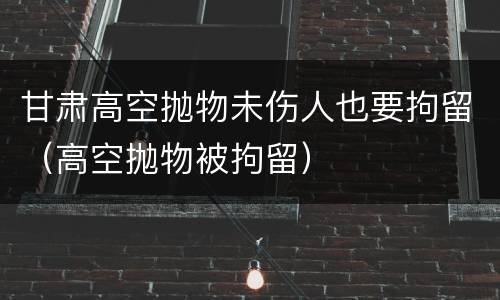 甘肃高空抛物未伤人也要拘留（高空抛物被拘留）