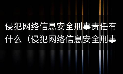 侵犯网络信息安全刑事责任有什么（侵犯网络信息安全刑事责任有什么后果）