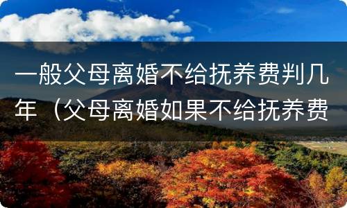 一般父母离婚不给抚养费判几年（父母离婚如果不给抚养费该怎么办）