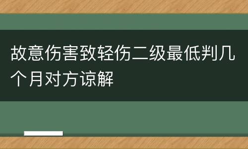 故意伤害致轻伤二级最低判几个月对方谅解