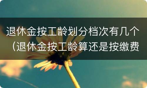 退休金按工龄划分档次有几个（退休金按工龄算还是按缴费年限算）