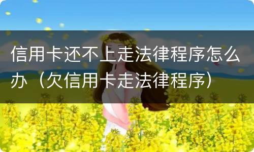 信用卡还不上走法律程序怎么办（欠信用卡走法律程序）