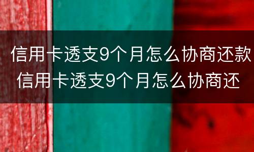 信用卡透支9个月怎么协商还款 信用卡透支9个月怎么协商还款呢
