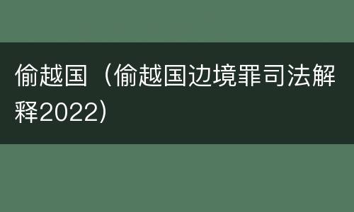 偷越国（偷越国边境罪司法解释2022）